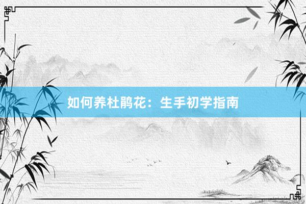 如何养杜鹃花：生手初学指南